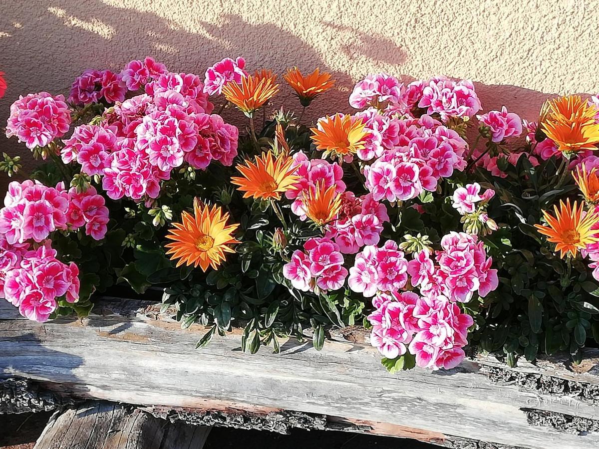 Ferienwohnung Angerlgut Sankt Koloman Εξωτερικό φωτογραφία